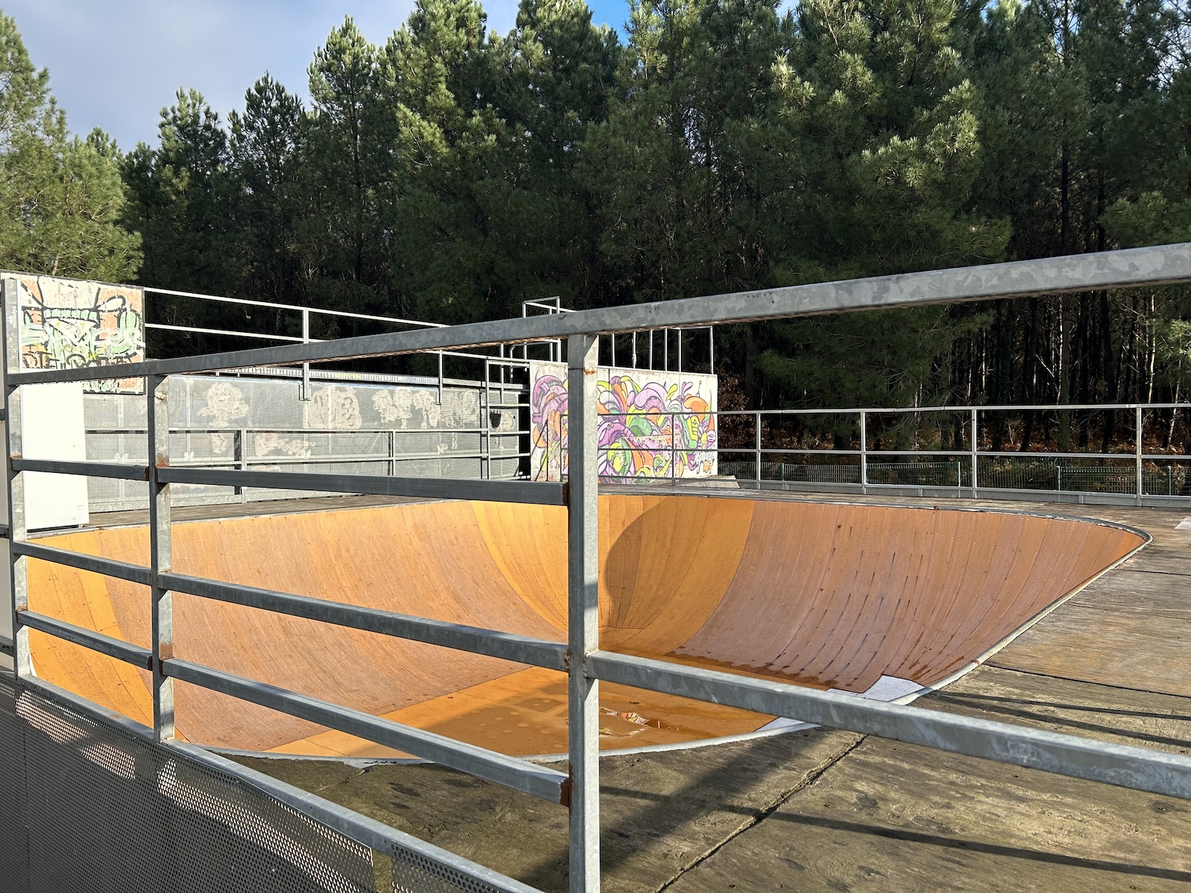 Cestas skatepark